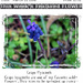 Grape Hyacinth by dsp2