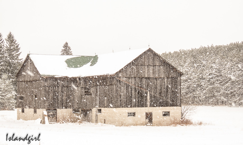 Barn in the snow  by radiogirl