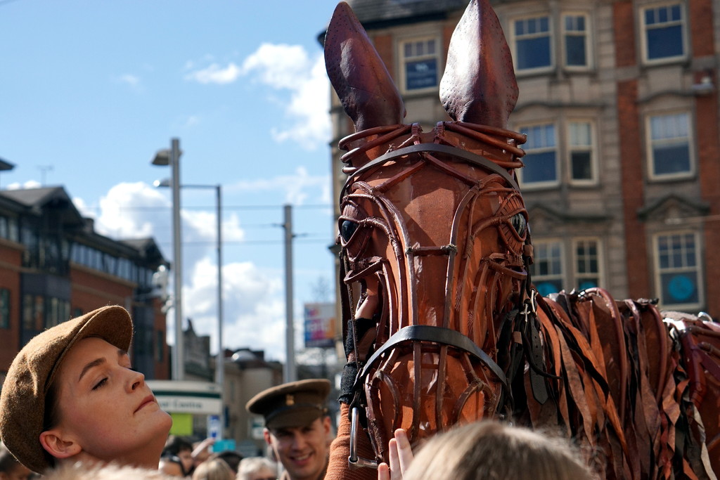 Nottingham Puppet Festival : Warhorses : Picture 2 by phil_howcroft