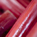 Red - Rhubarb by nicolecampbell