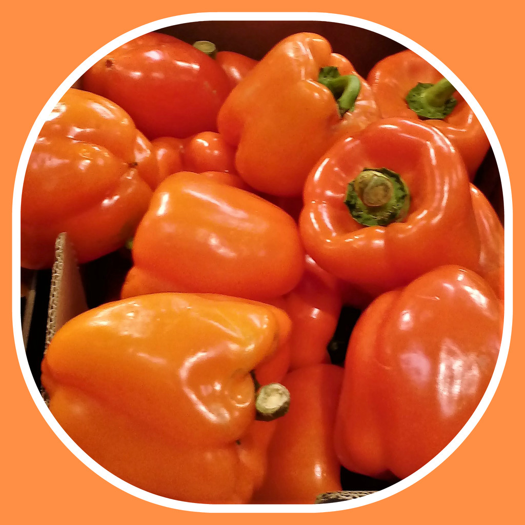 Orange peppers by beryl