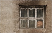 19th Mar 2018 - A Basket in the Window