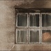 A Basket in the Window by olivetreeann