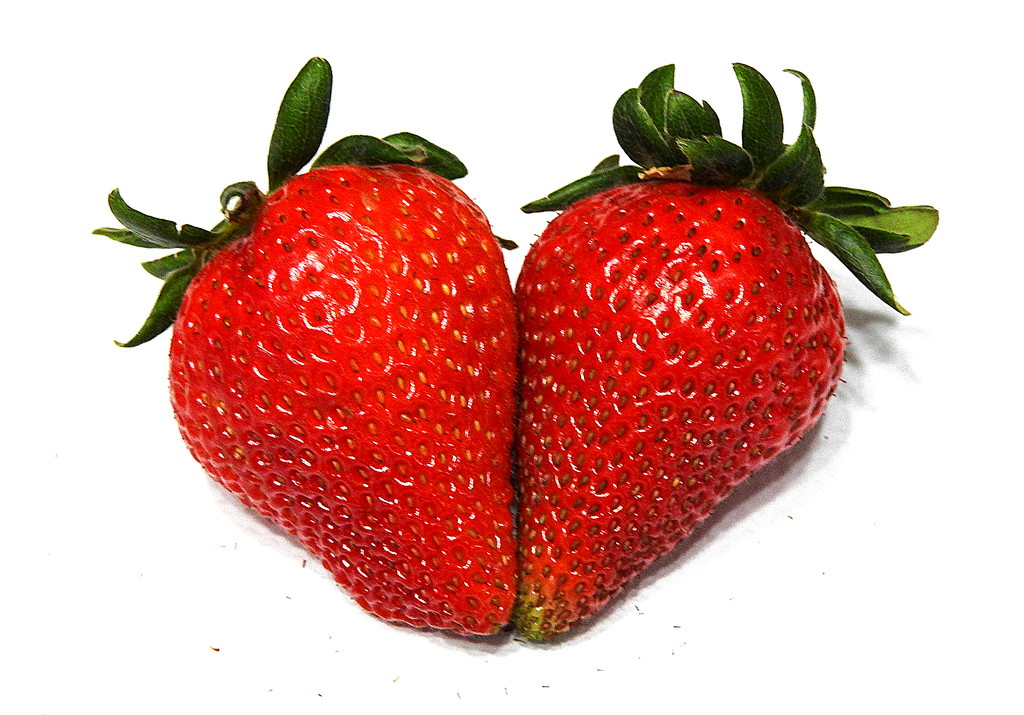 Strawberry love by homeschoolmom