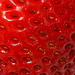 RED Strawberry by homeschoolmom