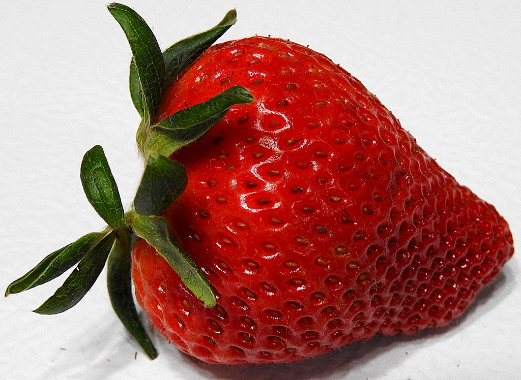 Sweet strawberry by homeschoolmom