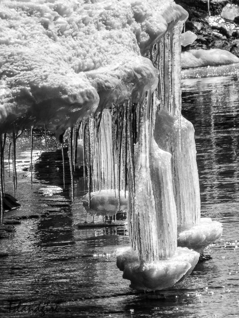 Icicles  by radiogirl