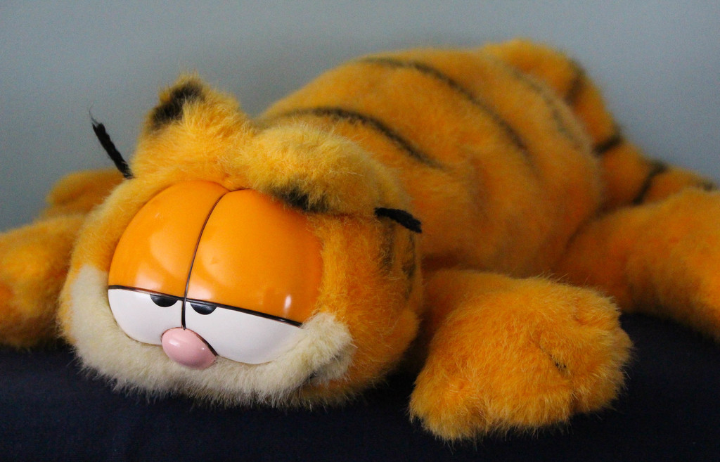 Garfield the orange cat by mittens