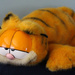 Garfield the orange cat by mittens
