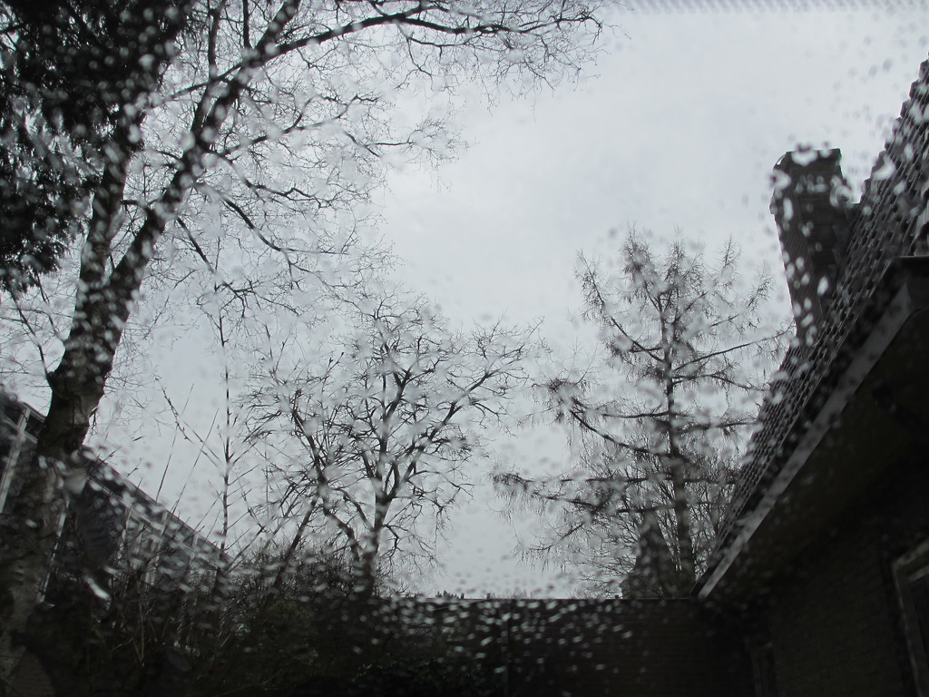 Rainy day by jacqbb