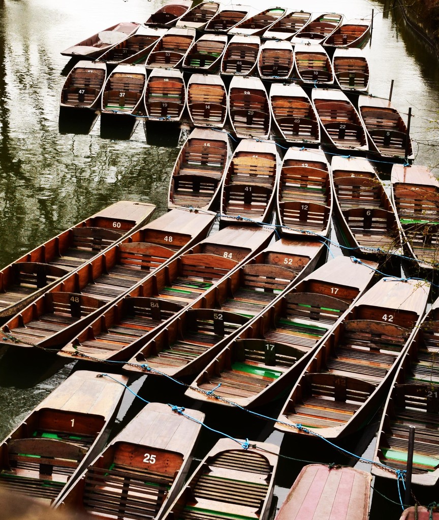 Punts by ianmetcalfe