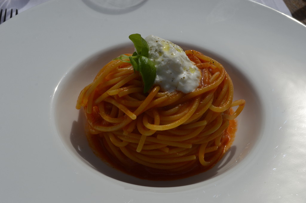 Spaghetti! Orange March 27 by caterina