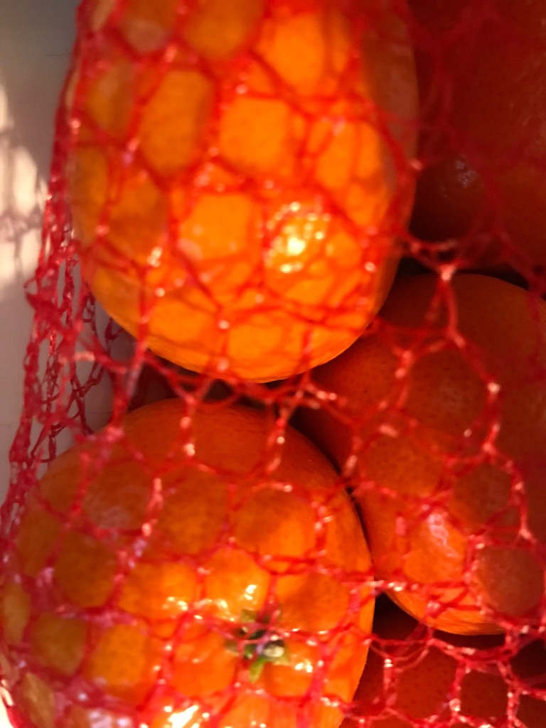 Oranges by pandorasecho