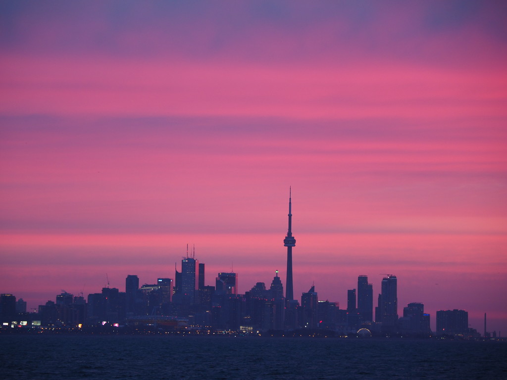 Pink Sky Over the City by selkie