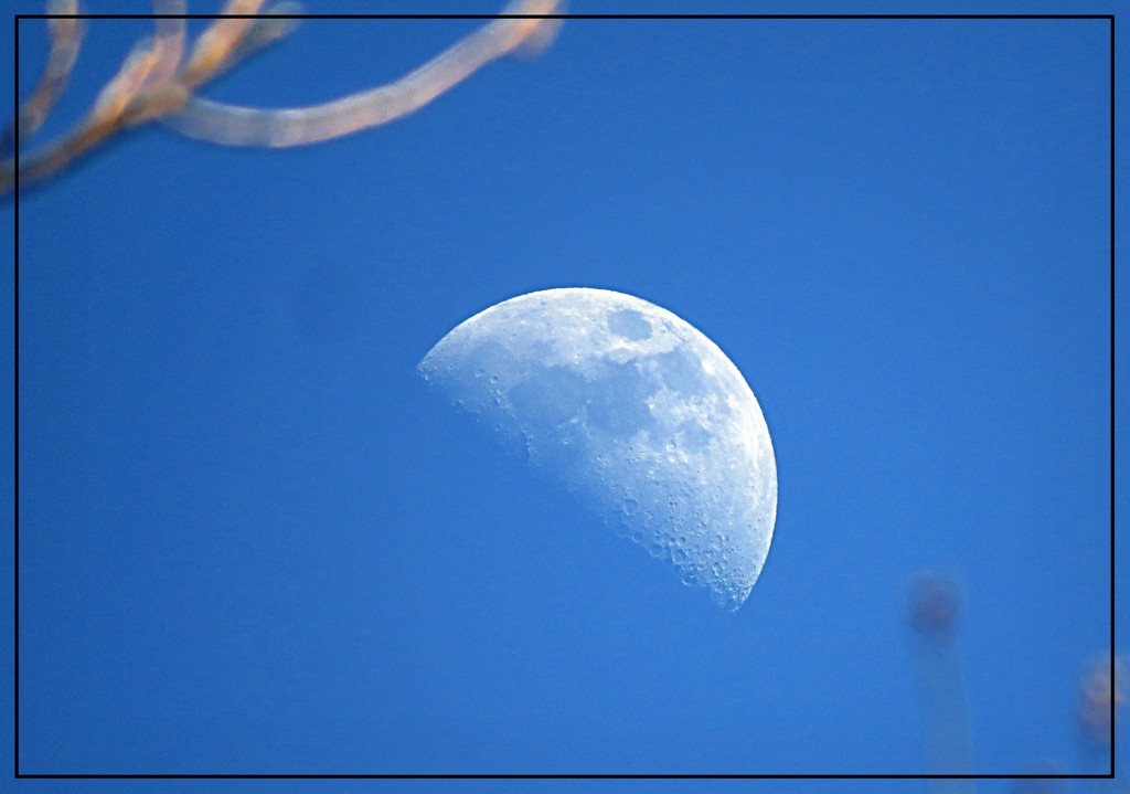 Half Moon in a Blue Sky by olivetreeann