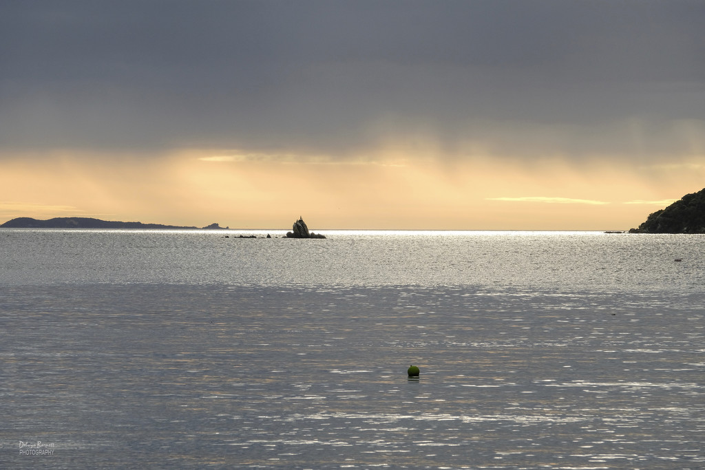 Early morning at Half Moon Bay, Stewart Island by dkbarnett