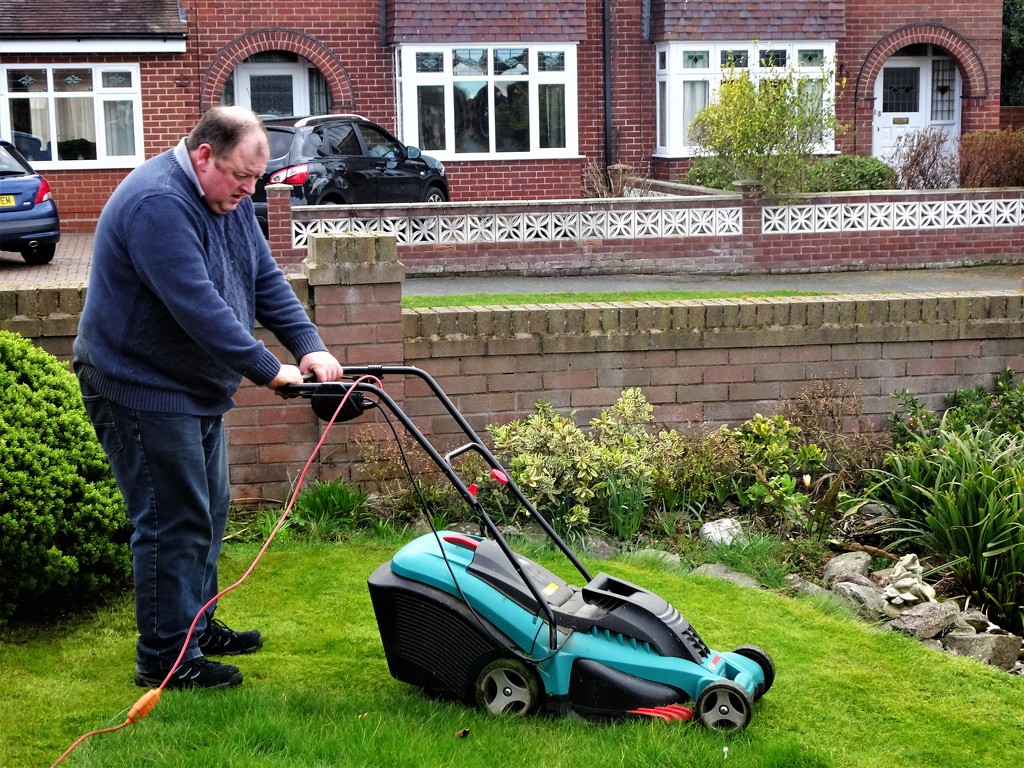 First mow  by beryl