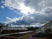 28th Mar 2018 - Stormy weather in the Walled Garden