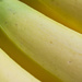 Bananas by rumpelstiltskin