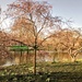 St James's Park lake by boxplayer