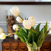 White Tulips by yogiw