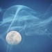 Misty Moon by grammyn