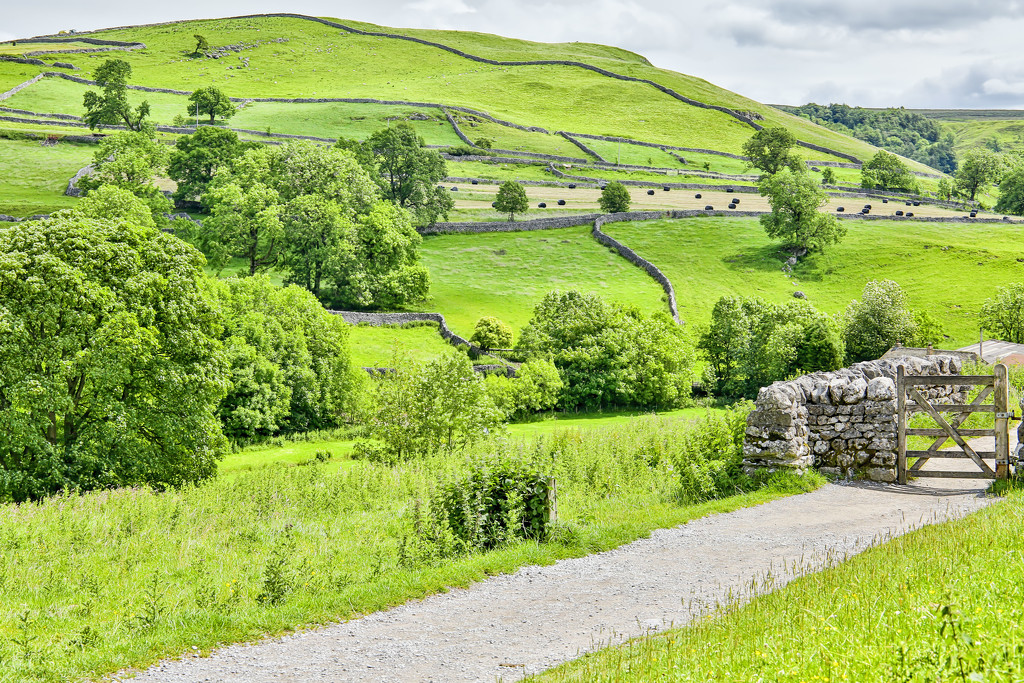 The path from Malham by pamknowler