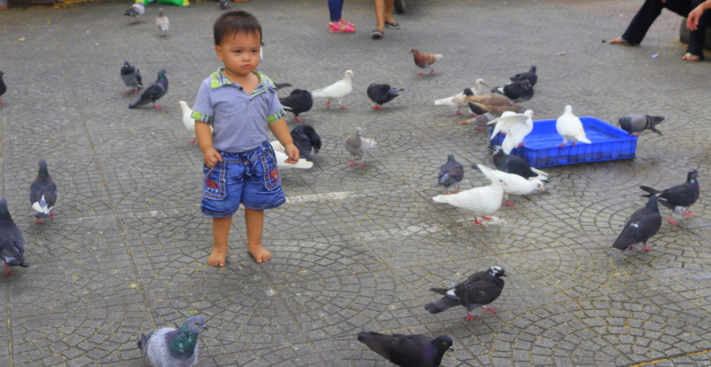 A boy among the pigeons  by gilbertwood