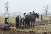 29th Mar 2018 - Amish Boy Plowing