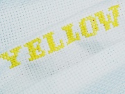 28th Apr 2012 - Yellow