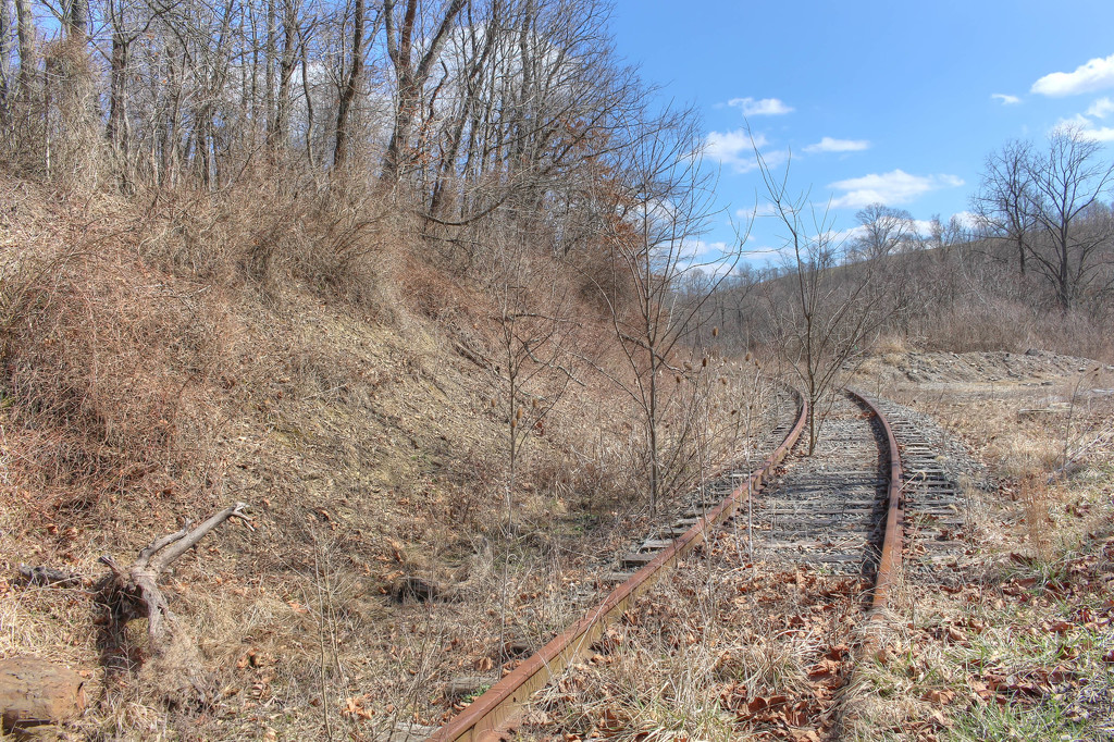Abandones railroad tracks by mittens