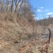 Abandones railroad tracks by mittens