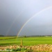 Rainbows  by 365projectdrewpdavies