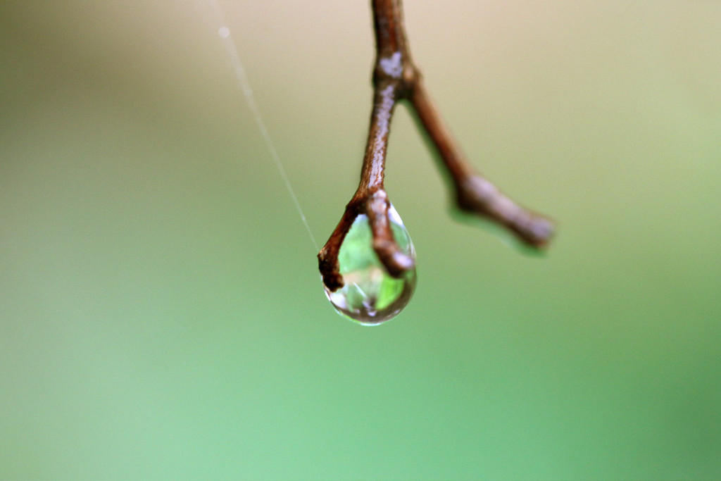 Green droplet by ingrid01