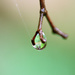 Green droplet by ingrid01