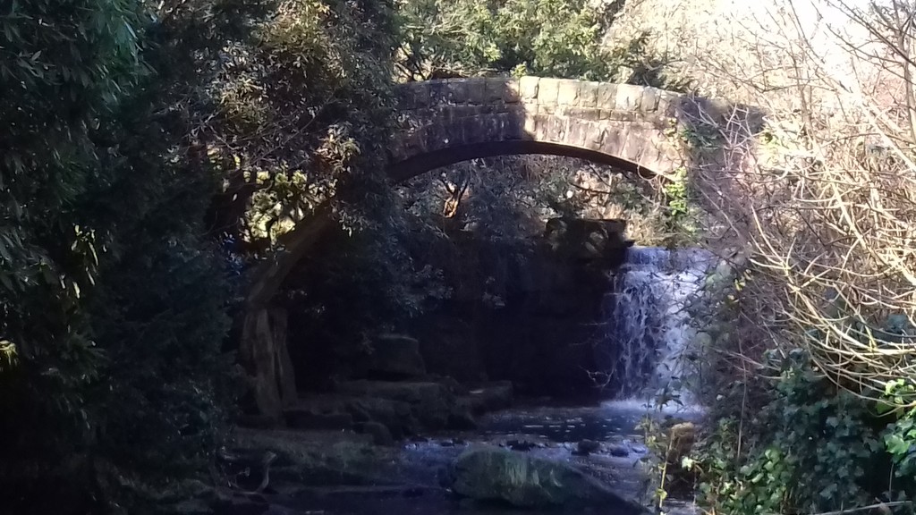 Jesmond Dene by clairemharvey