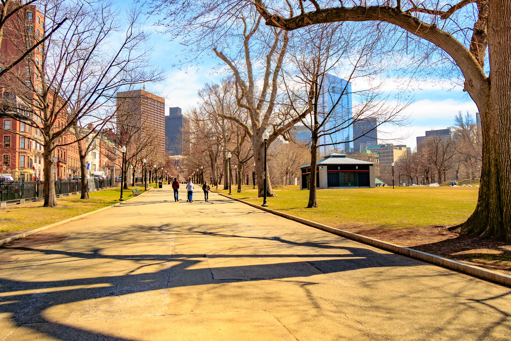 Boston Common by jernst1779