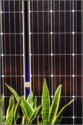 17th Mar 2018 - Solar Plant