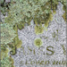 Lichen on Gravestone by chikadnz