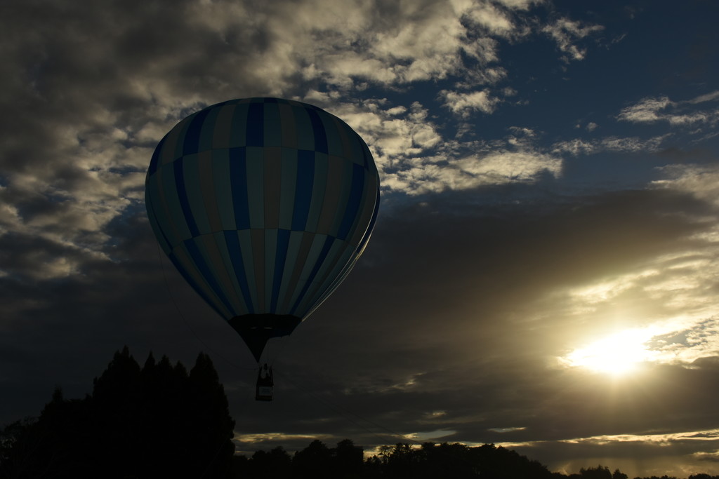 Balloon Flight by nickspicsnz