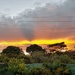 Stunning sunset season by eleanor
