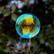 30th Mar 2018 - bubble
