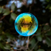 bubble by jernst1779