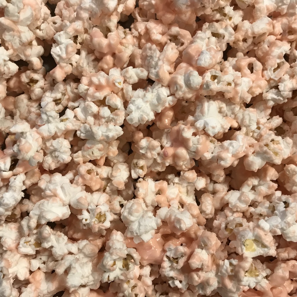 Pink popcorn  by beckyk365