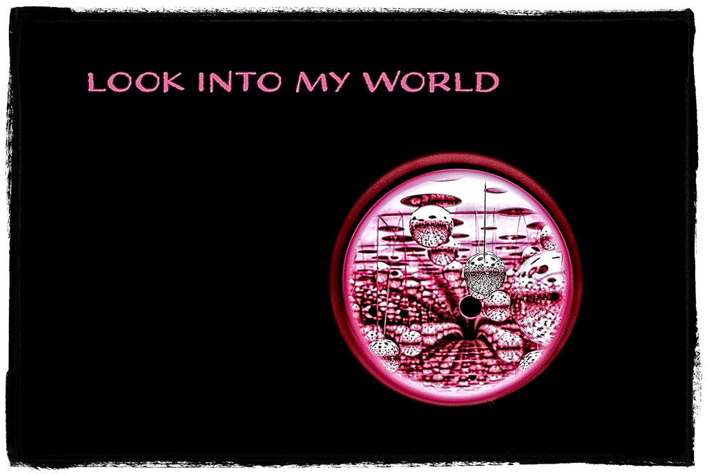 Look into My World by gardencat