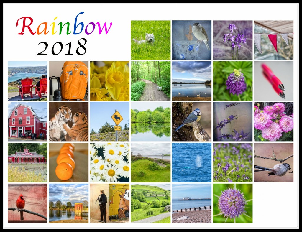 Rainbow2018  by pamknowler