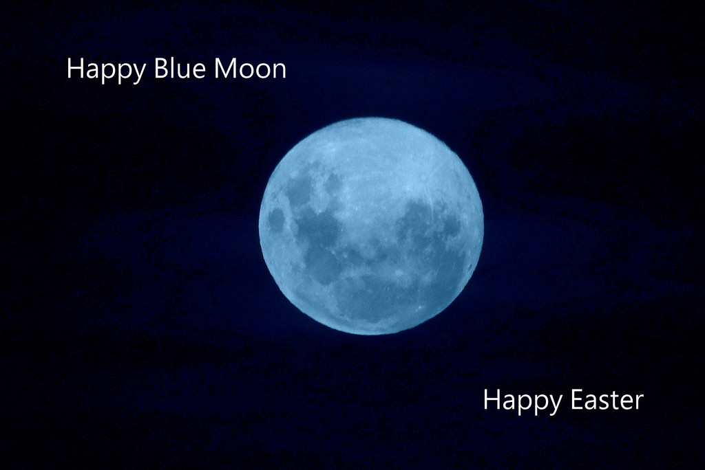 Blue moon Easter by gilbertwood