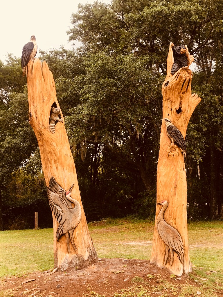 Tree Carving  by wilkinscd