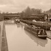 Wet day on the towpath  by 365projectdrewpdavies