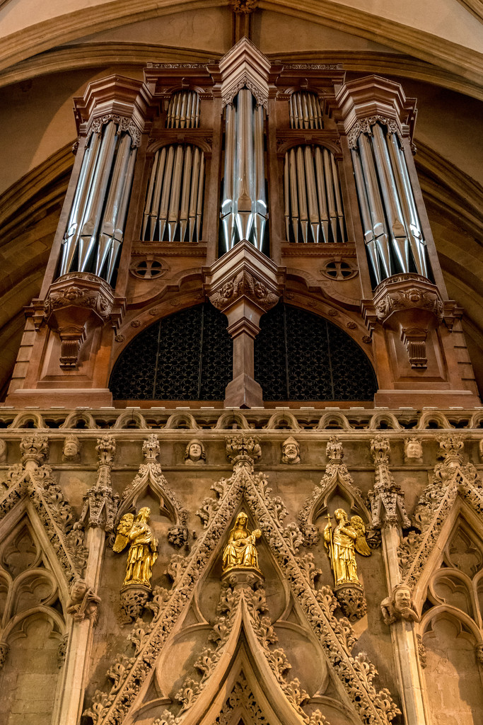 A Mighty Organ.. by rjb71